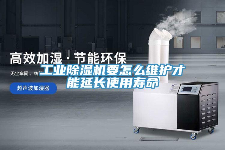 工業(yè)除濕機要怎么維護(hù)才能延長使用壽命