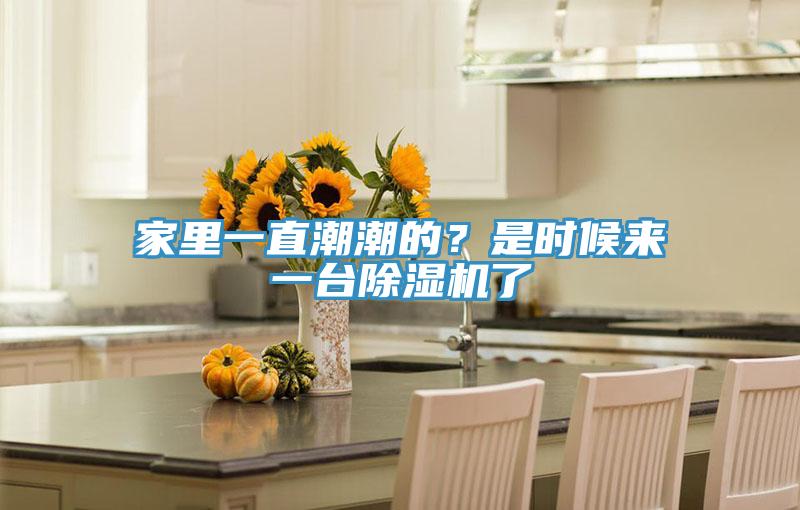 家里一直潮潮的？是時候來一臺除濕機了