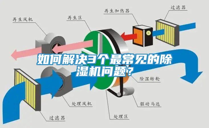 如何解決3個最常見的除濕機問題？