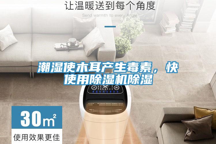 潮濕使木耳產(chǎn)生毒素，快使用除濕機(jī)除濕