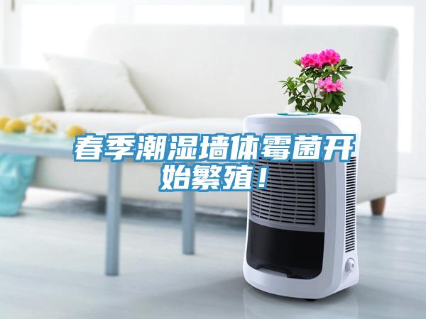 春季潮濕墻體霉菌開(kāi)始繁殖！