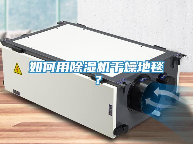 如何用除濕機干燥地毯？