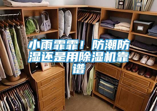 小雨霏霏！防潮防濕還是用除濕機靠譜