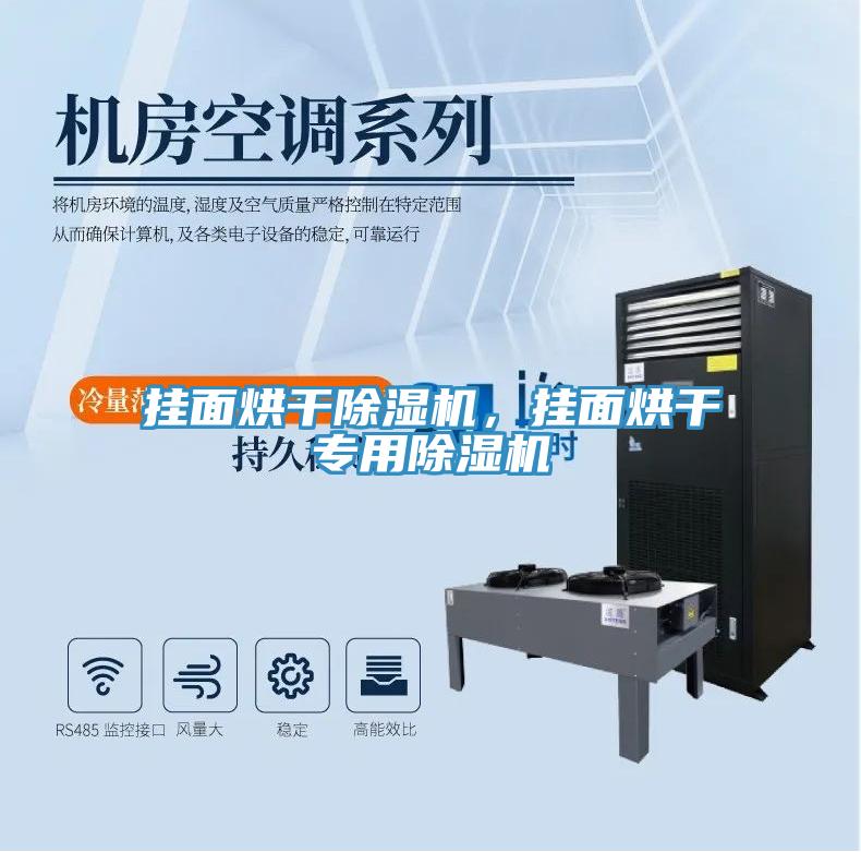 掛面烘干除濕機(jī)，掛面烘干專用除濕機(jī)