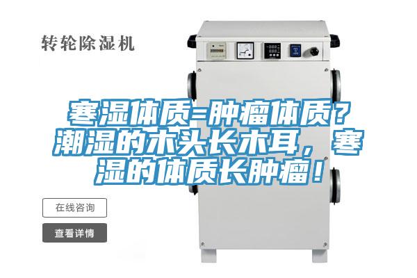 寒濕體質(zhì)=腫瘤體質(zhì)？潮濕的木頭長木耳，寒濕的體質(zhì)長腫瘤！