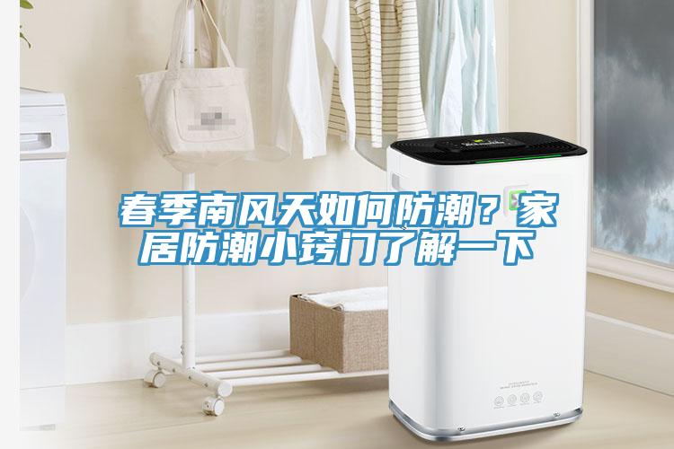 春季南風(fēng)天如何防潮？家居防潮小竅門了解一下