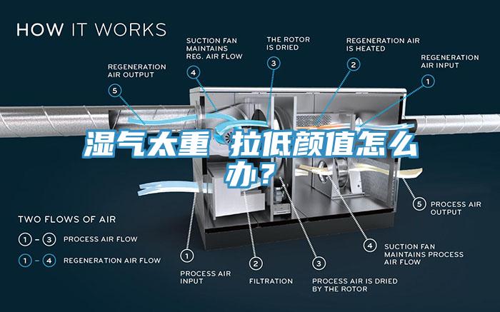 濕氣太重 拉低顏值怎么辦？