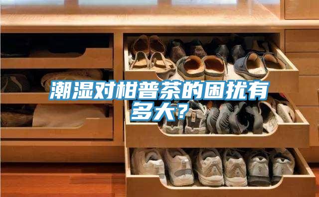 潮濕對(duì)柑普茶的困擾有多大？