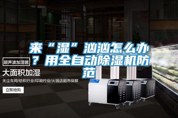 來(lái)“濕”洶洶怎么辦？用全自動(dòng)除濕機(jī)防范