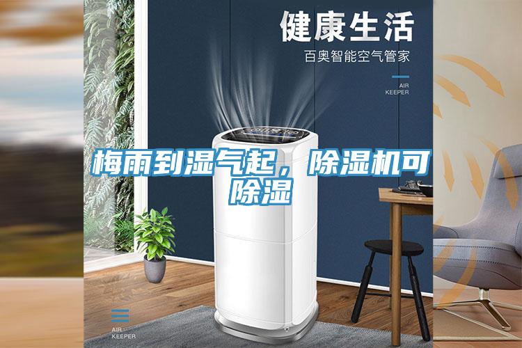 梅雨到濕氣起，除濕機(jī)可除濕