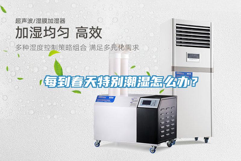 每到春天特別潮濕怎么辦？