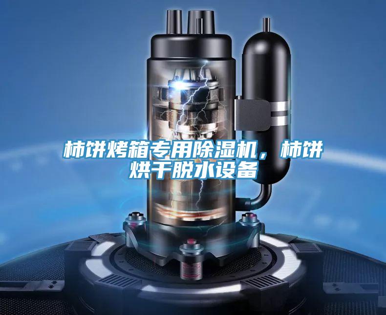 柿餅烤箱專用除濕機(jī)，柿餅烘干脫水設(shè)備