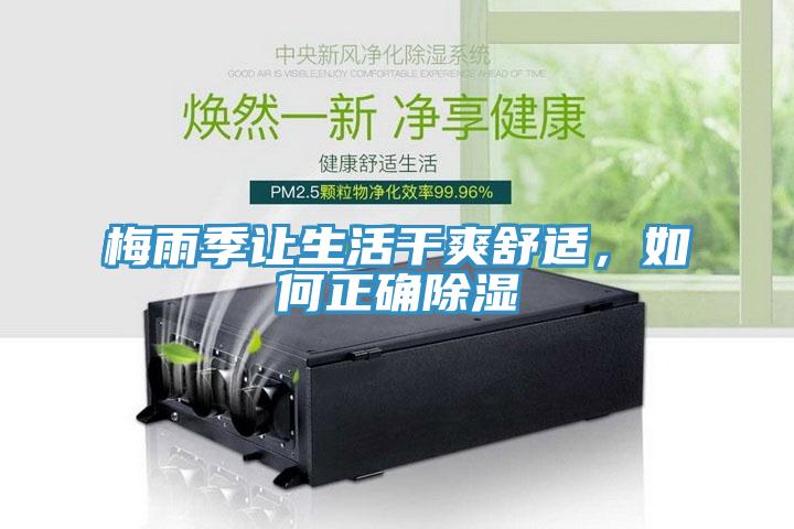 梅雨季讓生活干爽舒適，如何正確除濕