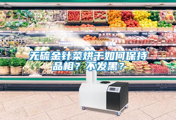 無硫金針菜烘干如何保持品相？不發(fā)黑？