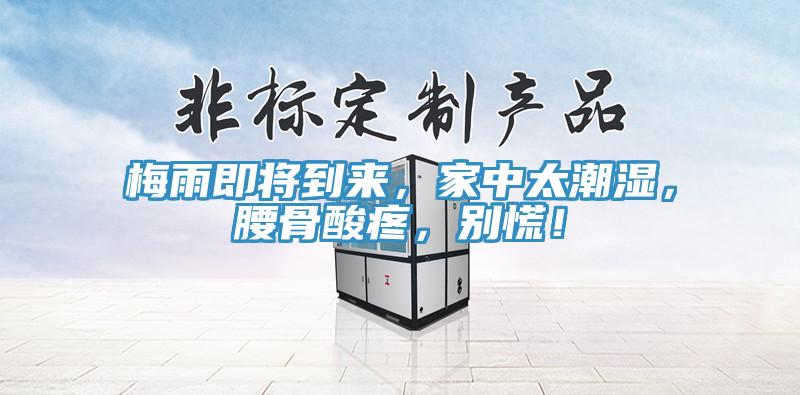 梅雨即將到來，家中太潮濕，腰骨酸疼，別慌！