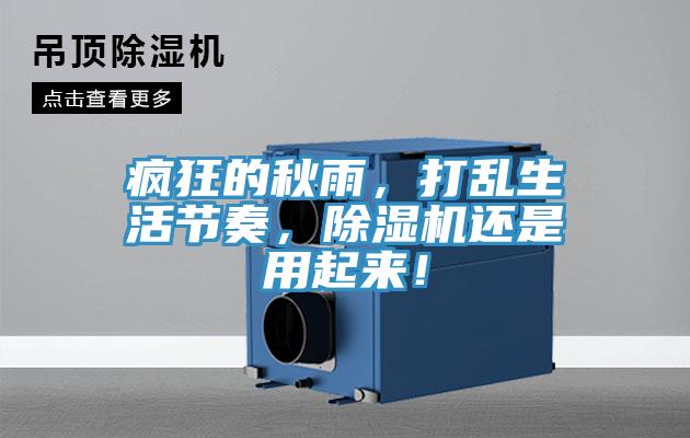 瘋狂的秋雨，打亂生活節(jié)奏，除濕機(jī)還是用起來(lái)！