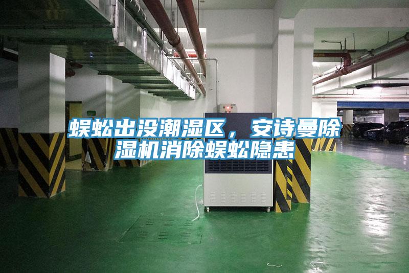 蜈蚣出沒(méi)潮濕區(qū)，安詩(shī)曼除濕機(jī)消除蜈蚣隱患