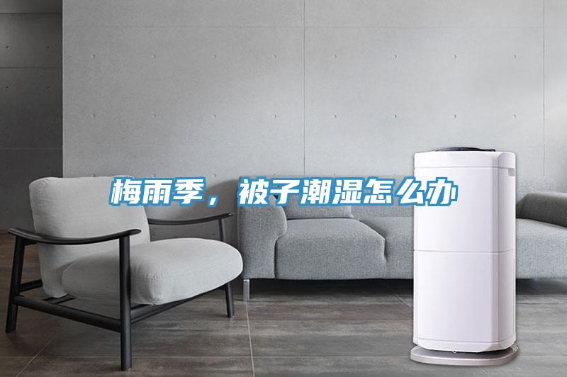 梅雨季，被子潮濕怎么辦
