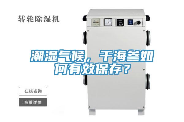 潮濕氣候，干海參如何有效保存？