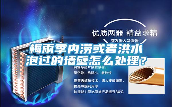 梅雨季內(nèi)澇或者洪水泡過(guò)的墻壁怎么處理？