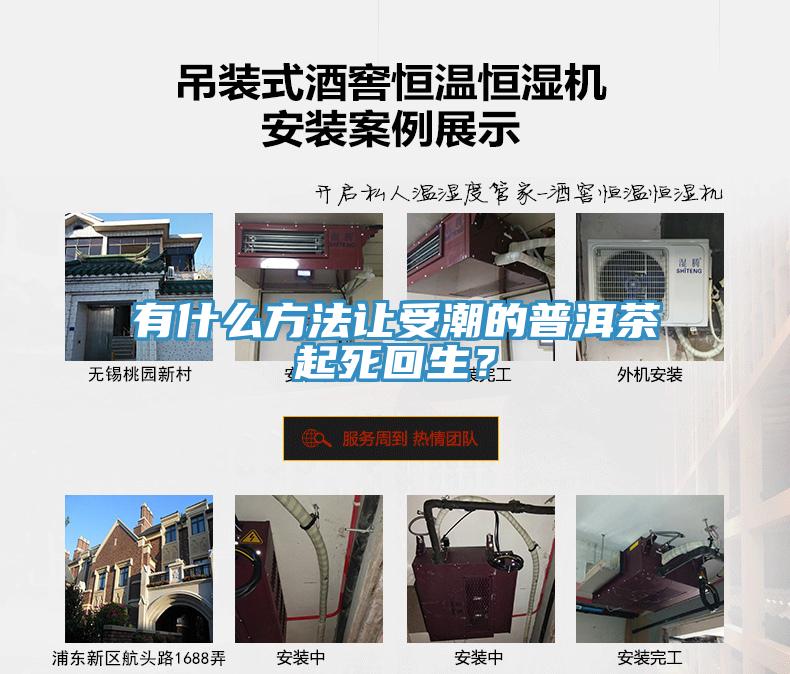 有什么方法讓受潮的普洱茶起死回生？