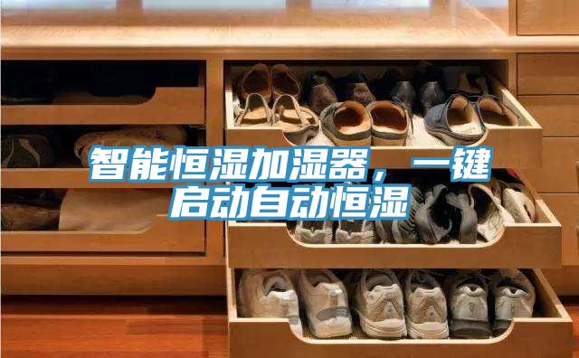 智能恒濕加濕器，一鍵啟動自動恒濕
