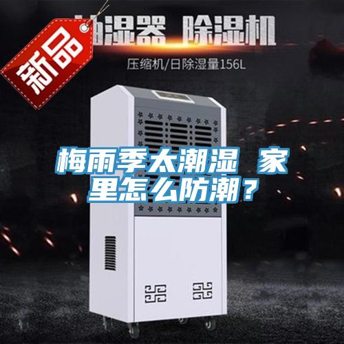 梅雨季太潮濕 家里怎么防潮？