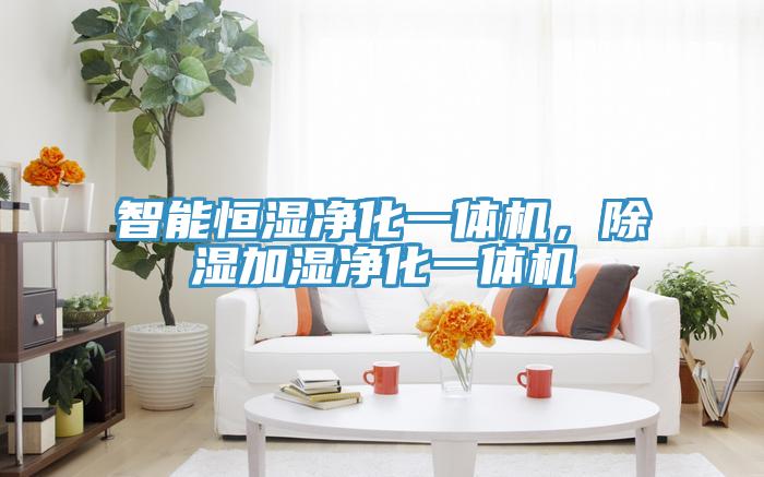 智能恒濕凈化一體機(jī)，除濕加濕凈化一體機(jī)