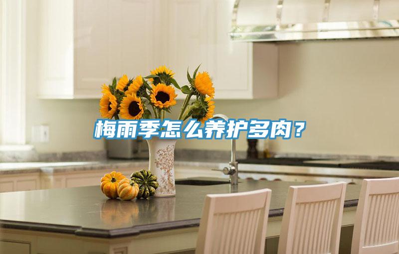 梅雨季怎么養(yǎng)護(hù)多肉？