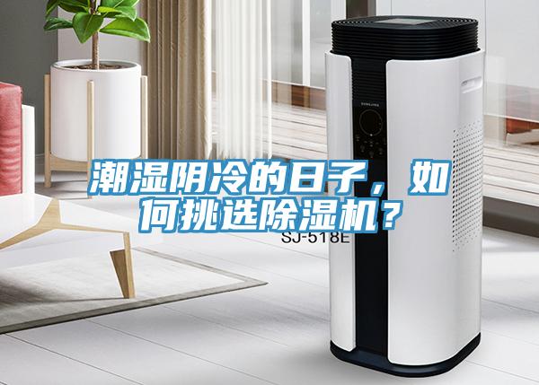 潮濕陰冷的日子，如何挑選除濕機(jī)？