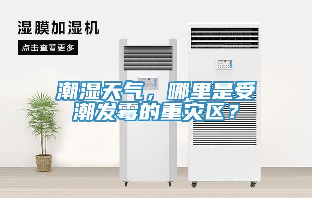 潮濕天氣，哪里是受潮發(fā)霉的重災(zāi)區(qū)？