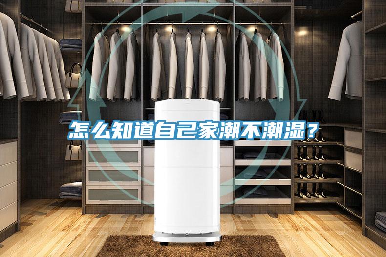 怎么知道自己家潮不潮濕？