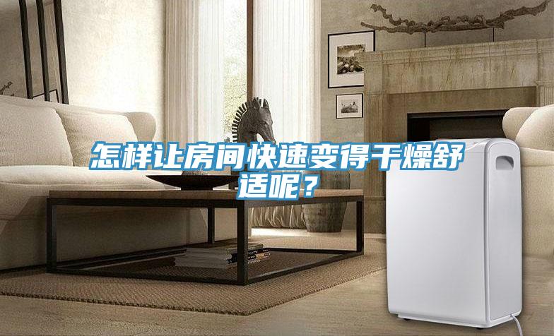 怎樣讓房間快速變得干燥舒適呢？