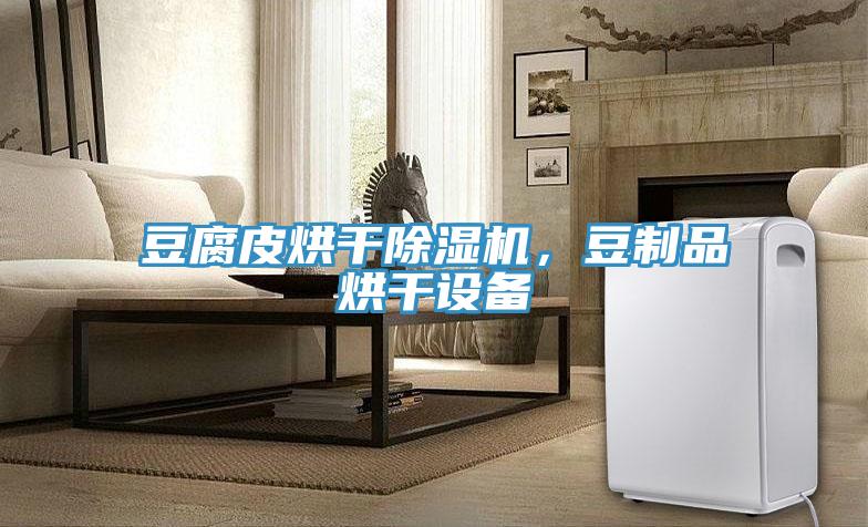 豆腐皮烘干除濕機，豆制品烘干設備