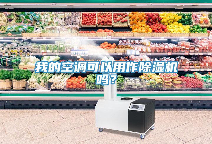 我的空調(diào)可以用作除濕機(jī)嗎？