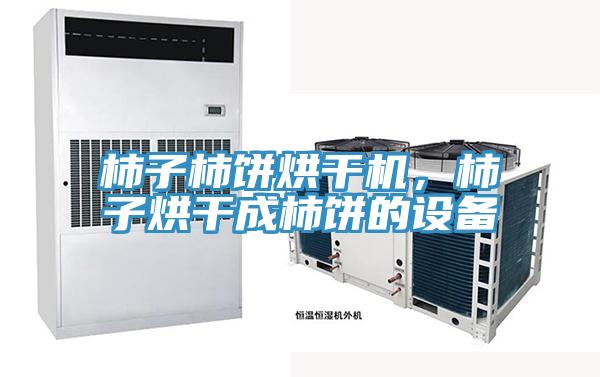 柿子柿餅烘干機(jī)，柿子烘干成柿餅的設(shè)備