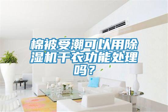 棉被受潮可以用除濕機干衣功能處理嗎？