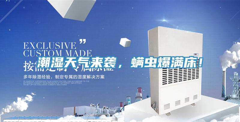 潮濕天氣來襲，螨蟲爆滿床！