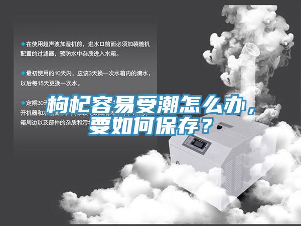 枸杞容易受潮怎么辦，要如何保存？