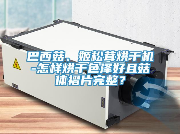 巴西菇、姬松茸烘干機-怎樣烘干色澤好且菇體褶片完整？
