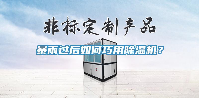 暴雨過后如何巧用除濕機(jī)？