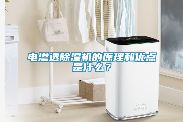 電滲透除濕機的原理和優(yōu)點是什么？