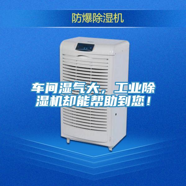 車間濕氣大，工業(yè)除濕機(jī)卻能幫助到您！