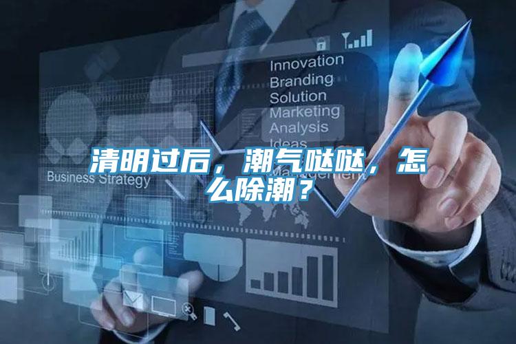 清明過后，潮氣噠噠，怎么除潮？