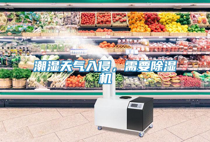 潮濕天氣入侵，需要除濕機
