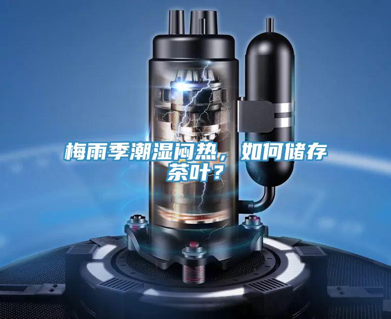梅雨季潮濕悶熱，如何儲(chǔ)存茶葉？