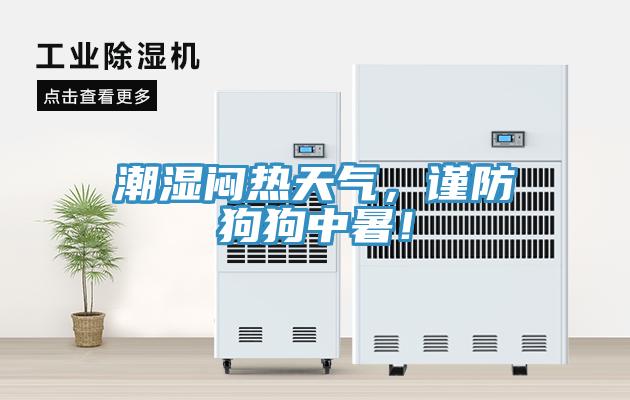 潮濕悶熱天氣，謹(jǐn)防狗狗中暑！