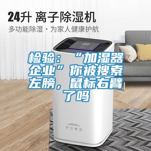 檢驗：“加濕器企業(yè)”你被搜索左膀，鼠標右臂了嗎