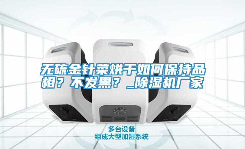 無硫金針菜烘干如何保持品相？不發(fā)黑？_除濕機(jī)廠家