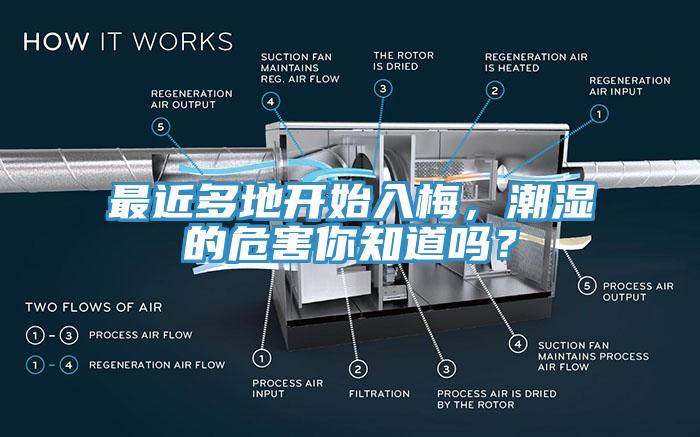 最近多地開始入梅，潮濕的危害你知道嗎？